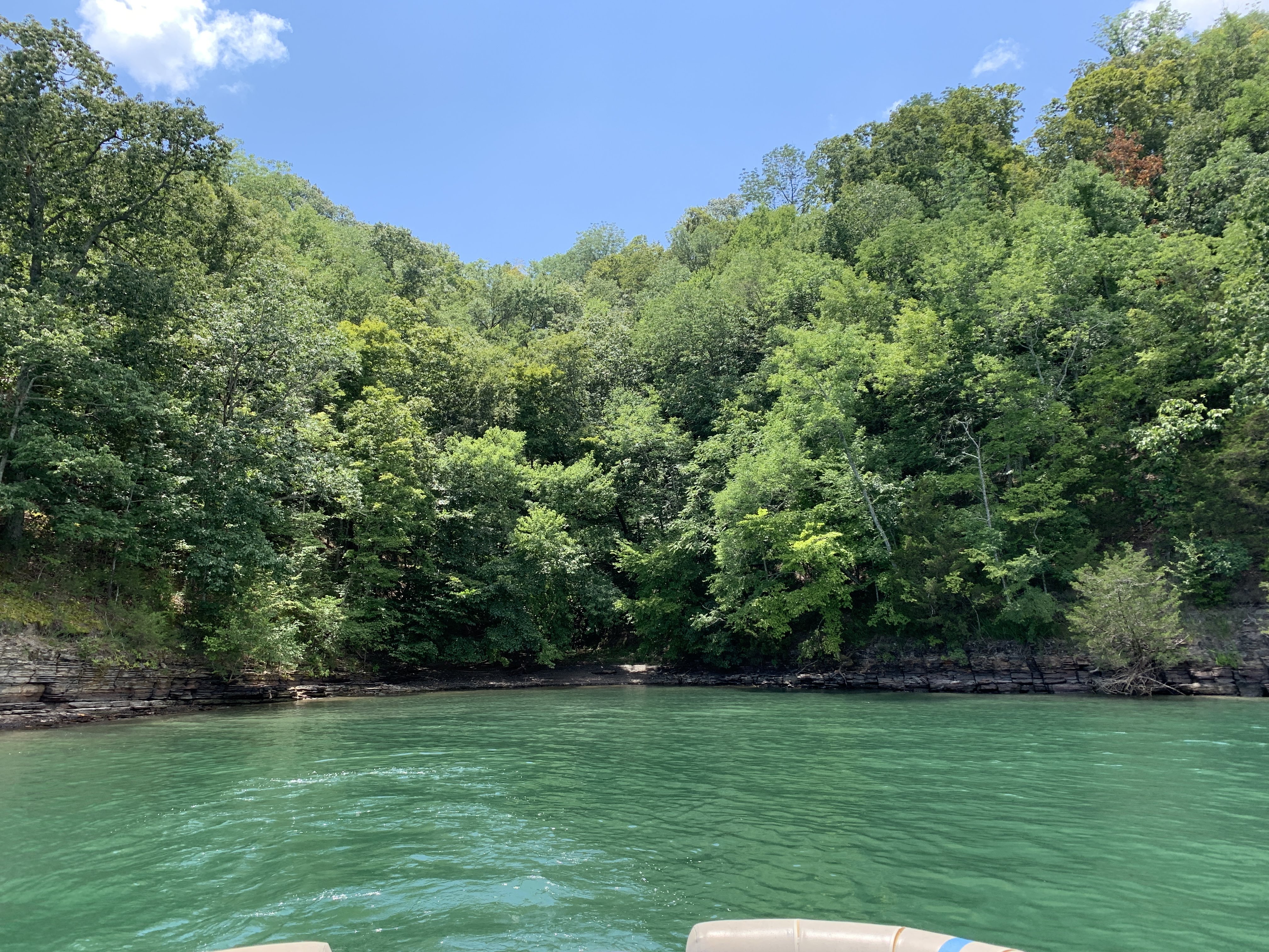 Beautiful private cove at Dale Hollow Lake Tennessee